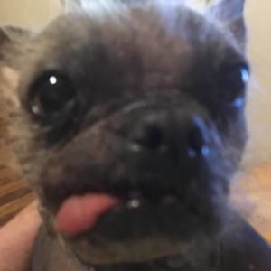 Meet your Posher, Barb